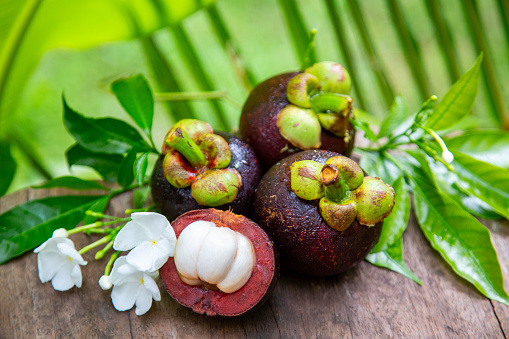 Three whole mangosteens and one halved to reveal the white, fleshy interior, set against a backdrop of vibrant green leaves. The outer shell of the mangosteens is dark purple-brown with a rough texture, topped with a green stem and sepals. White flowers with yellow centers are placed next to the fruits, adding contrast and aesthetic appeal. The fruits and flowers are placed on a wooden surface that adds an earthy element to the composition. Sunlight filters through the leaves in the background creating a bright and natural ambiance.