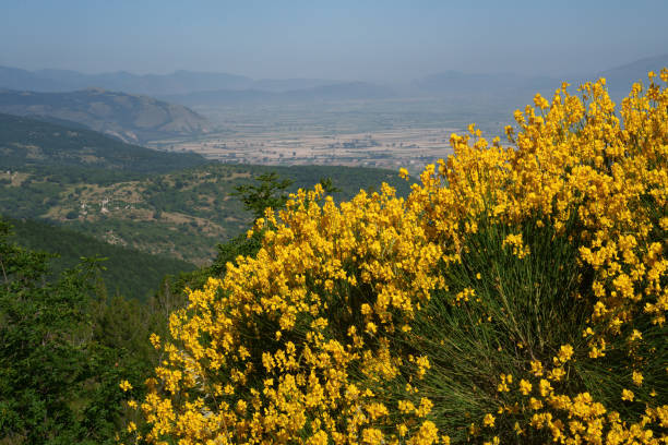 Mountain landscape at Abruzzo National Park at summer
