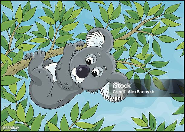 Koala Stock Illustration - Download Image Now - Animal, Animal Wildlife, Animals In The Wild