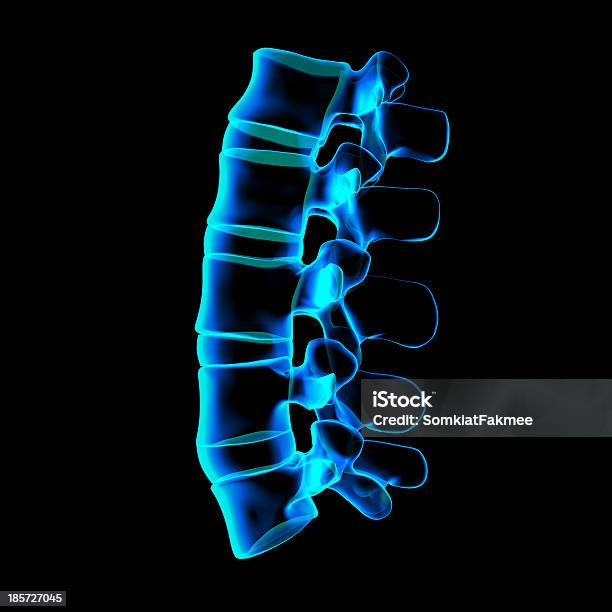 3 D レンダリングされた図腰サイドの眺め - 3Dのストックフォトや画像を多数ご用意 - 3D, イラストレーション, スクエア