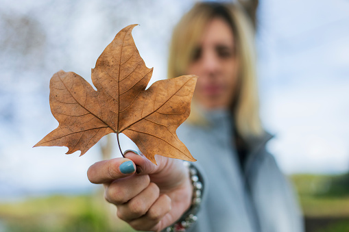 Woman's hand holding dry leaf