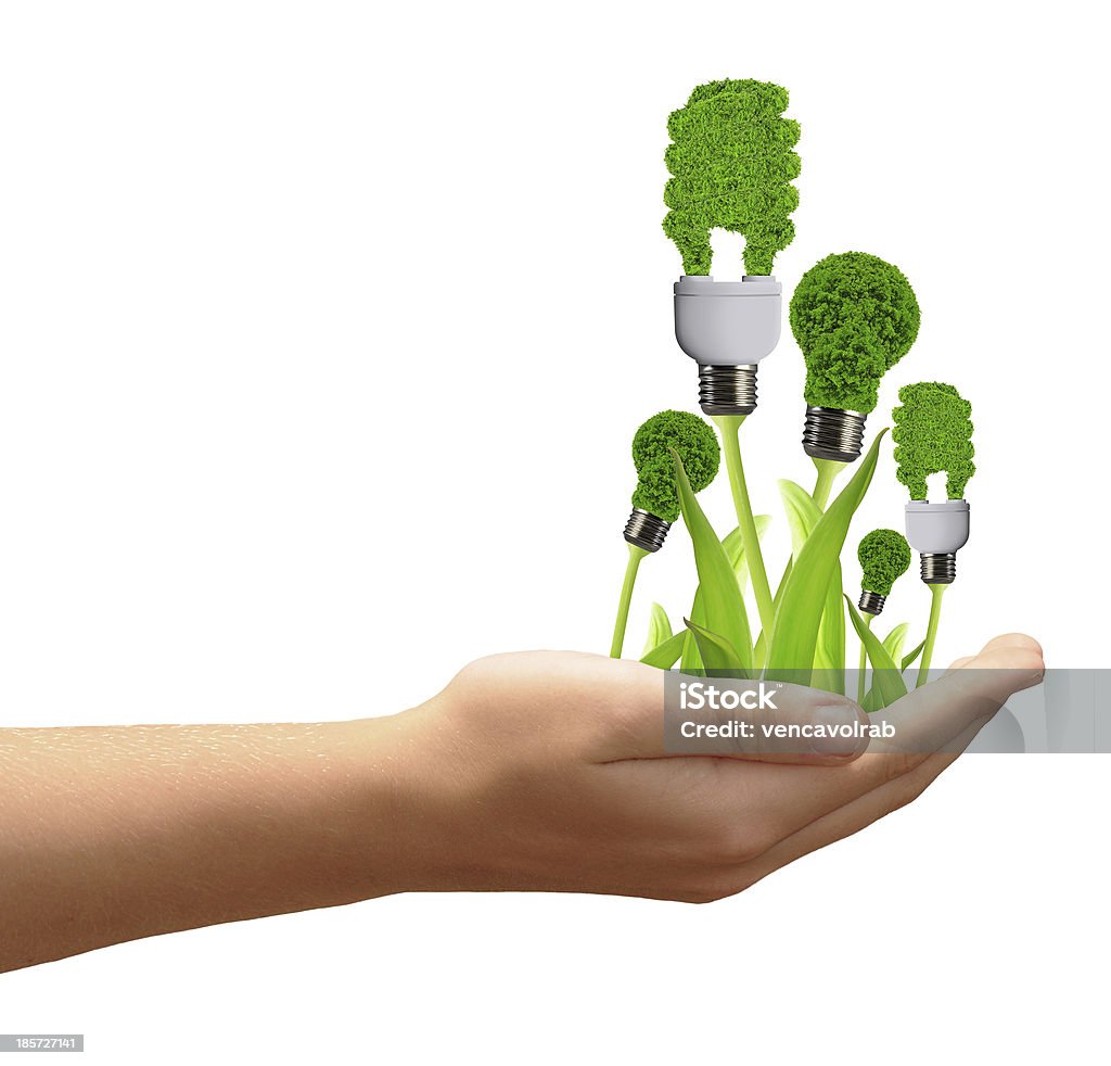 Lámparas de energía ecológica - Foto de stock de Blanco - Color libre de derechos