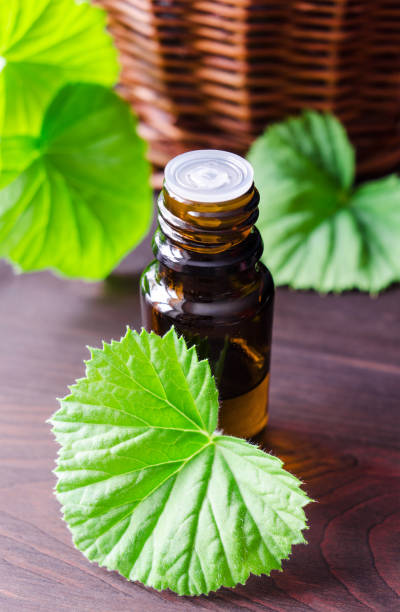 istock Small bottle with essential geranium oil and pelargonuim leaf. Aromatherapy and herbal medicine concept. 1857278214
