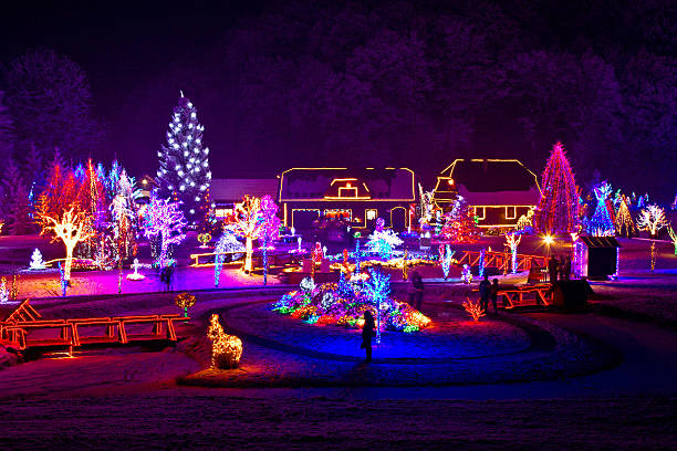 Christmas fantasy - trees and houses in lights Christmas fantasy - trees and houses in lights on beautiful snowy winter night christmas lights house stock pictures, royalty-free photos & images