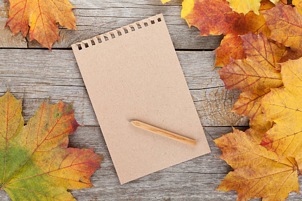 istock Blank page and colorful autumn maple leaves 185728071