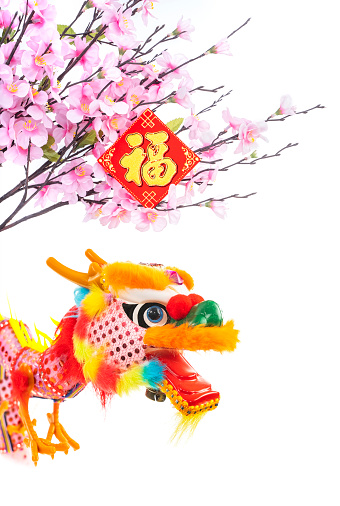 Tradition Chinese cloth doll dragon,2024 is year of the dragon,Chinese wording meanings:dragon,Wishing you prosperity and wealth.