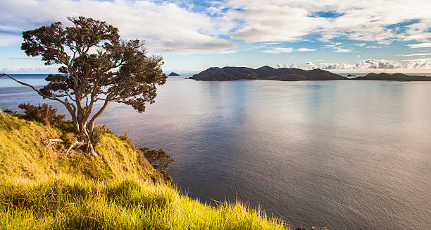 Maturai Bay lookout stock photo