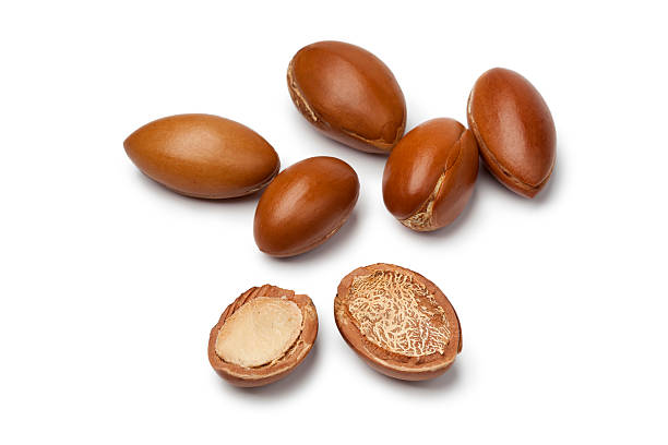 Argan nuts Whole and half Moroccan Argan nuts on white background argan tree stock pictures, royalty-free photos & images