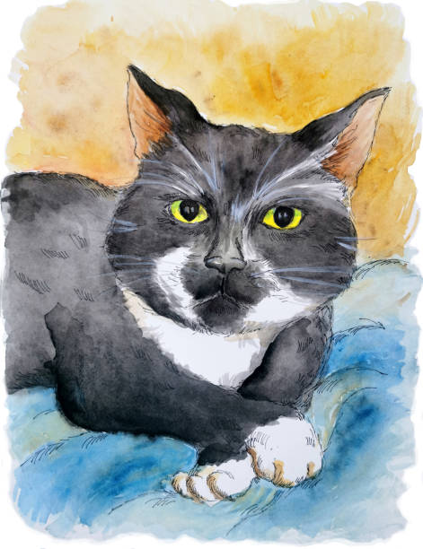 istock Pet portrait of tuxedo cat. Watercolor drawing. 1857332866