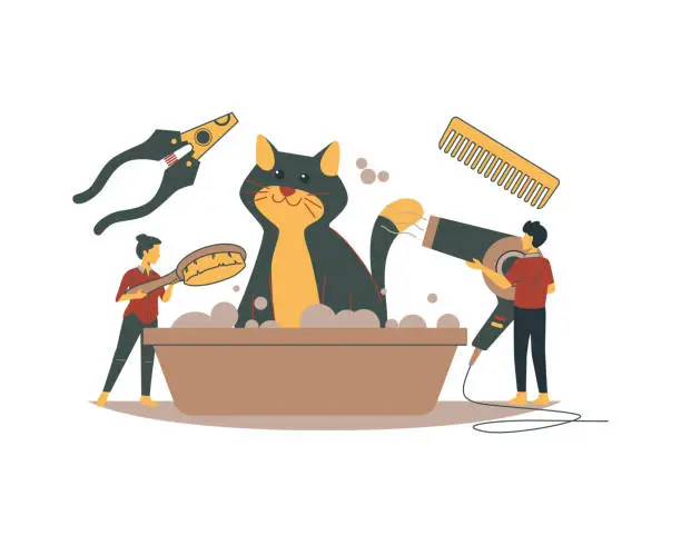 Vector illustration of people washing a cat in a tub with a comb and hair dryer for animal and pet Pet adoption and fostering