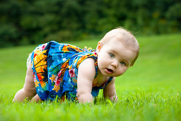 A Japanese American toddler girl learns to crawl outside