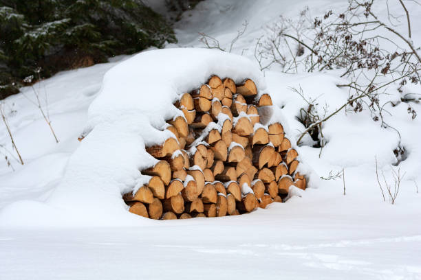 istock pile of firewood under snow 1857361818
