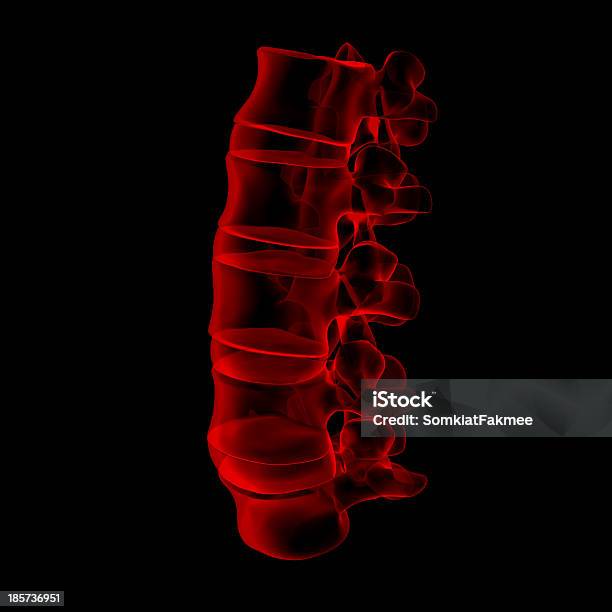 3 D Prestado Ilustraciónlumbar Vista Lateral Foto de stock y más banco de imágenes de Anatomía - Anatomía, Asistencia sanitaria y medicina, Ciencia