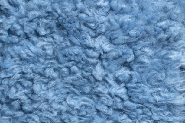 lã encaracolado azul - blue carpet rug fiber - fotografias e filmes do acervo