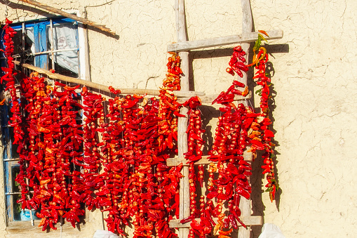 Rows of dried red pepper in bunches tied on strings and hung on food market stall in Barcelona