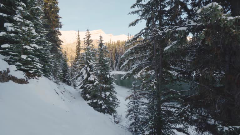 Red pine lake, Banff, Alberta, Canada