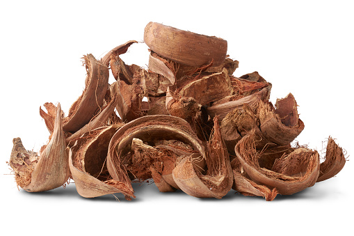 pile of dried coconut husk or coir, commercially important natural fiber extracted from outer husk of coconut fruit, popular in gardening, sustainable alternative growing mediums isolated on white
