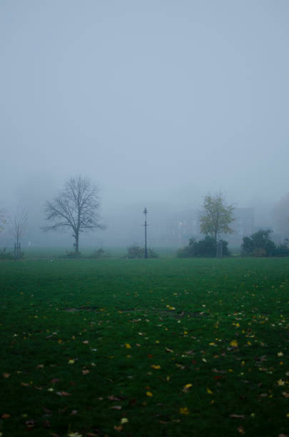istock Urban park on a foggy day 1857439964