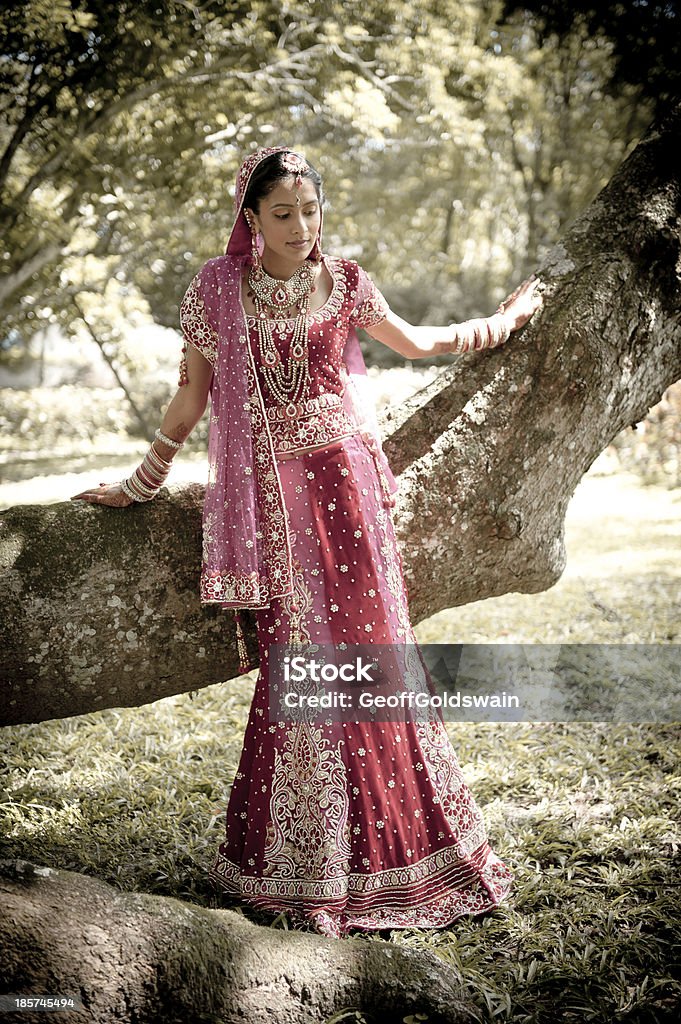 Jeune mariée en robe traditionnelle indienne - Photo de Adulte libre de droits