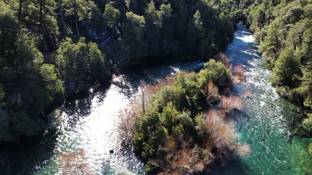 River island in middle of forest, aerial drone view