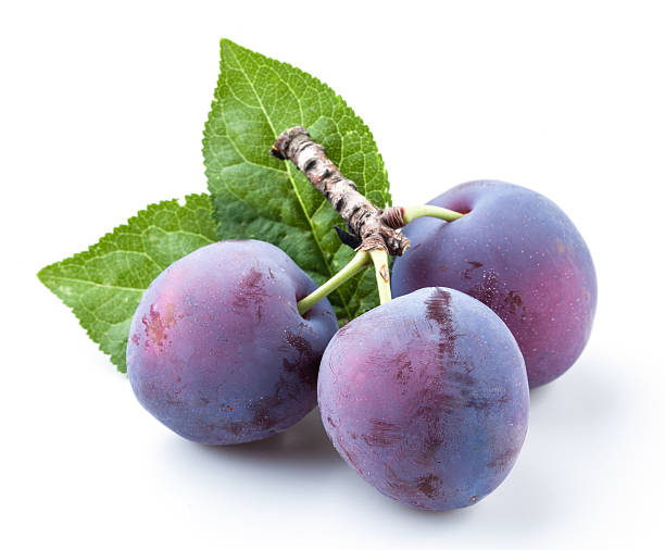 Plums with leaf isolated Plums with leaf isolated plum red white purple stock pictures, royalty-free photos & images