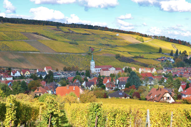 istock The Alsace Wine Route in Autumn 1857495383
