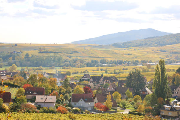 istock The Alsace Wine Route in Autumn 1857497455