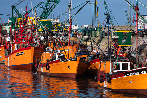 Argentina Mar del Plata port of artisanal fishermen moored very picturesque