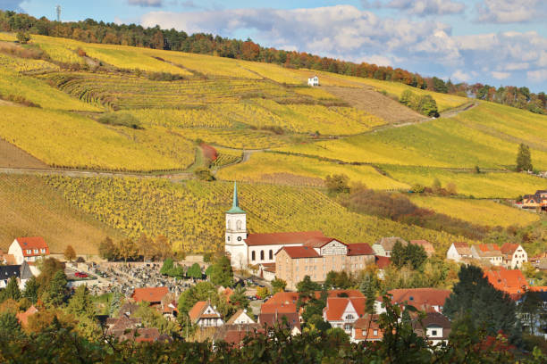 istock The Alsace Wine Route in Autumn 1857501089
