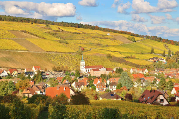 istock The Alsace Wine Route in Autumn 1857508385
