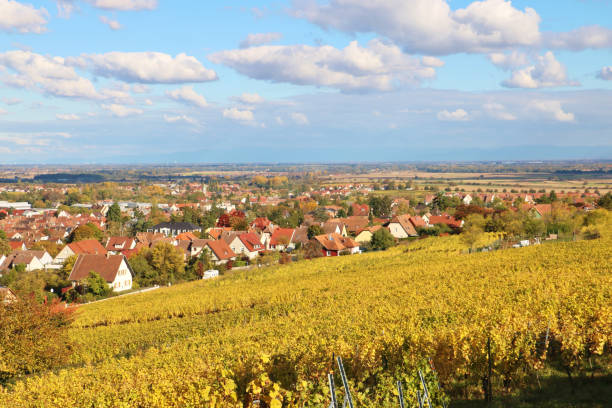 istock The Alsace Wine Route in Autumn 1857509946