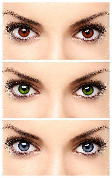 istock Three close up shots of woman with different colored eyes 185751412
