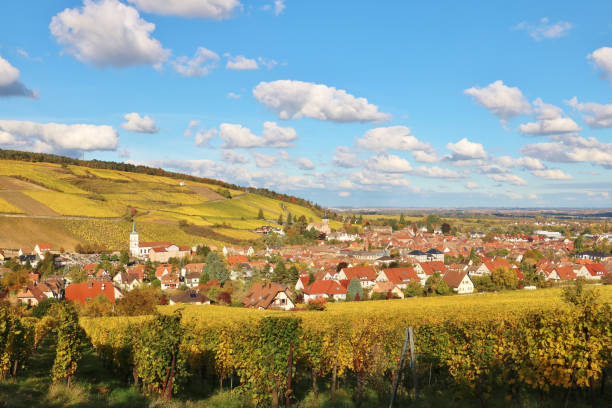 istock The Alsace Wine Route in Autumn 1857516705