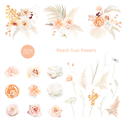Flower and dried plants vector design big set. Wedding watercolor flowers. White peony, peachy roses, dried palm leaves, orchid, hydrangea, lagarus, blush rose. Elements are isolated and editable