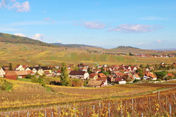 istock The Alsace Wine Route in Autumn 1857525601