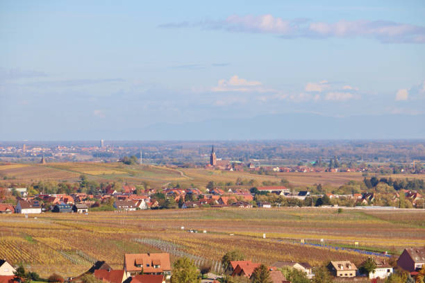 istock The Alsace Wine Route in Autumn 1857527162