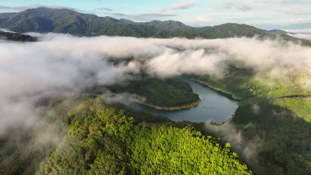 Aerial drone footage of the rainforest in morning with a lot of fog and mist, Hala-Bala Wildlife Sanctuary is one of the preserved areas in Thailand. Called Amazon of Asia, South of Thailand, Yala Province