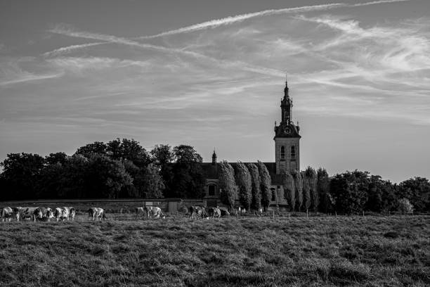 Green in B&W 30-9-2023