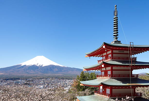 istock Mountain Fuji in spring ,Cherry blossom Sakura 185756725