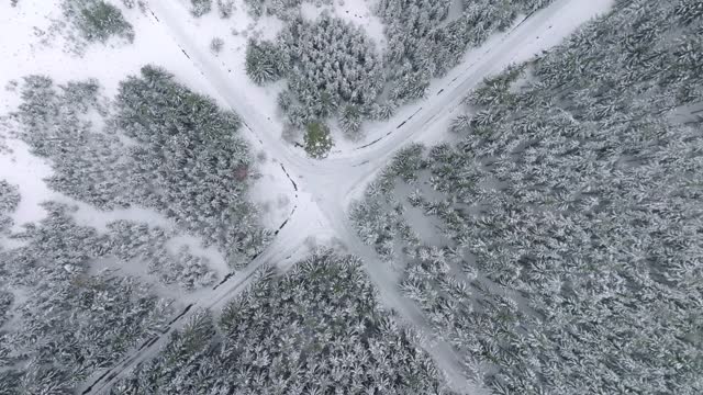 Drone view of forest road intersection between snow covered trees. Crossroads and the necessity to choose the first path. A cold day in a snowy forest. Aerial bird's eye view