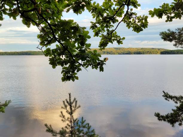 istock Sweden lac landscape 1857606611