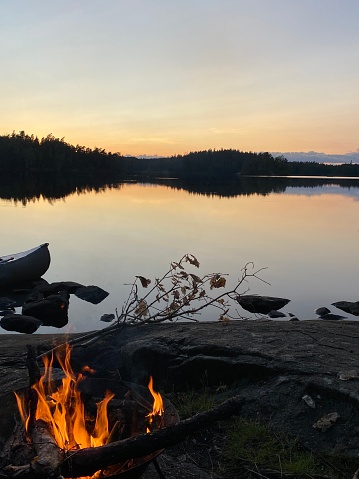 one person looking on the lac sunset with the forest