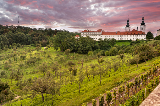 Strahov Monastery and the Petrin Gardens orchards overlooking the residential houses in the Mala Strana area of Prague, Czech Republic Czechia