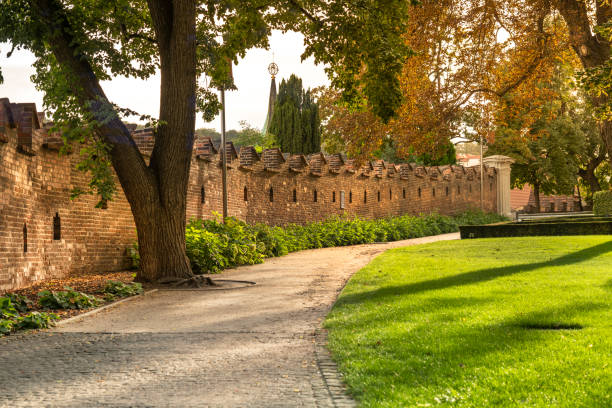 ogród pałacowy na terenie zamku praskiego czechy czechy europa - czechów zdjęcia i obrazy z banku zdjęć