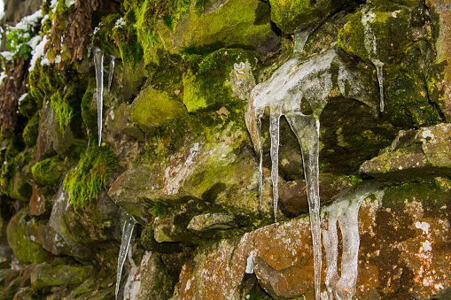 Stone wall of the Castle oif Hasznos in winter with icicle