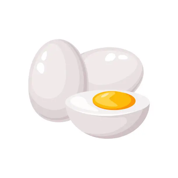 Vector illustration of Fresh boiled chicken farm eggs. Whole and sliced eggs. Half an egg.Healthy protein diet. Vector illustration