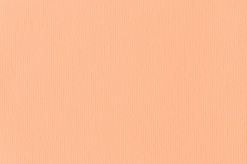 Peach Fuzz Background Artist's Canvas Art Pastel Orange Coral Apricot Linen Pattern Cotton Nude Pale Millennial Pink Cream Beige Light Brown Texture Fashionable Flat Lay Sparse Trendy Color of Year 2024 Close-Up Copy Space Design template for presentation, flyer, card, poster, brochure, banner