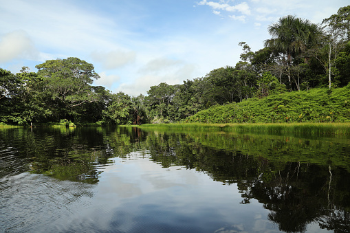 River Cruise  at Peruvian Amazon