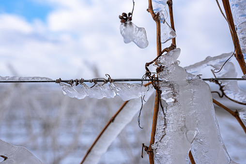 A view through a row of long hanging icicles on a mountain house looking high over a winter landscape.