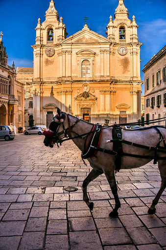 Horse Carriage In Front Of St. Paul's Cathedral In Mdina, Malta